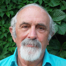 Mario bernardi Guardi